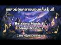 🌙 เพลงผ่อนคลายนอนหลับ ฝันดี | Calm Night Chill Mix | Sleep Music &amp; Deep Focus ✨