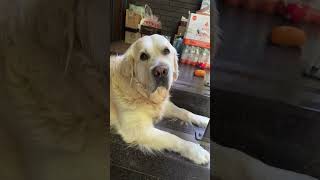 Noose Frowner by Sa Gaming