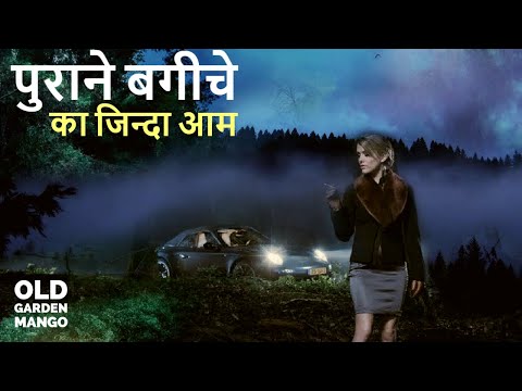 इस बगीचे के आम से खून क्यों निकलता है