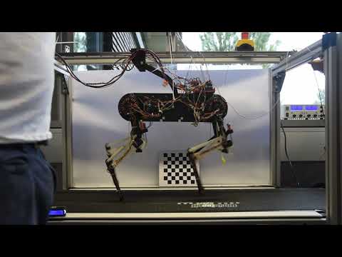 Robot dog learns to walk by stumbling, just like young animals in the wild