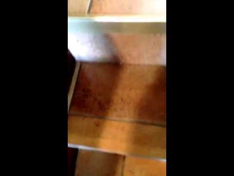 Ceramic tile and grout stair cleaning