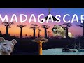 Wonders of Madagascar - Morondava