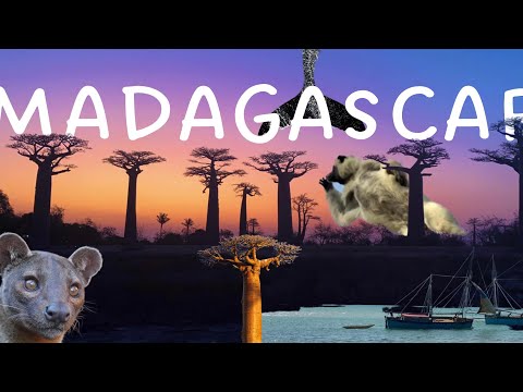 Wonders of Madagascar - Morondava