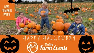 Halloween Pumpkin Patch 2020 Undley Pumpkin Patch