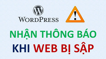 Nhận thông báo qua email khi website WordPress bị SẬP (Downtime)