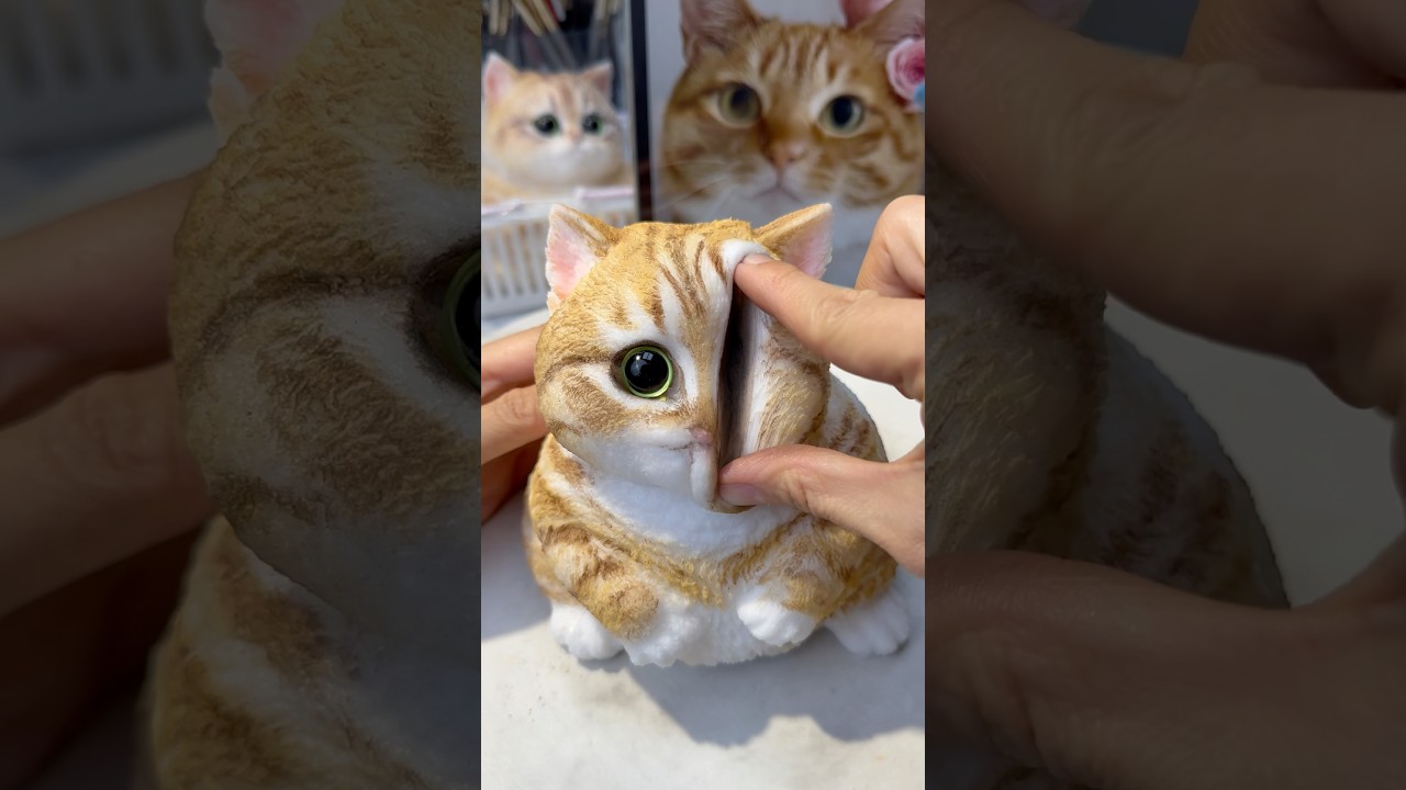 This is my favorite squishy cat. 