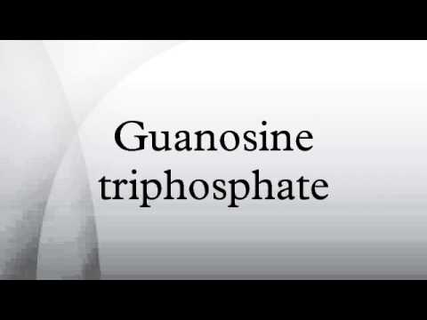 Guanosine triphosphate