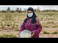 Rove Egypt supports Agricultural and Rural Tourism in Egypt