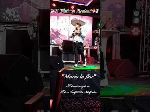 LIVE BONUS TRIGGER on FU DAO LE!!! SLOTS PLAY in CASINO!!! FREE GAMES, Bally - SG Gaming BIG WIN