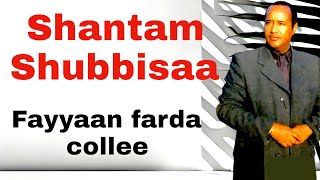 Shantam Shubbisaa - Fayyaan farda collee | Lovely old oromo music |