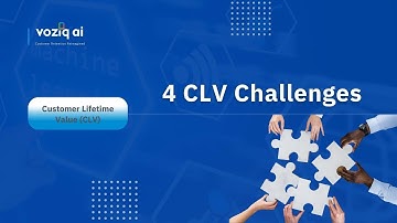 Four Customer Lifetime Value (CLV) Challenges