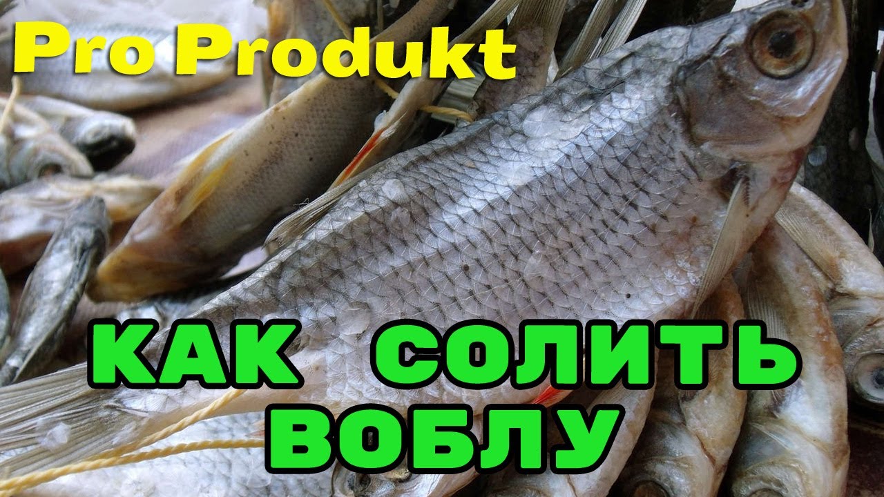 Сколько солить воблу