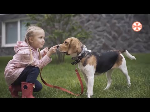 როდესაც ბავშვს შინაური ცხოველისადმი ალერგიული რეაქცია უვლინდება - რა უნდა ვიცოდეთ?