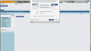 Netweaver Portal Integration with Facebook Case 3.avi