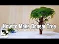 HOW TO Make Bonsai Tree for Aquarium |Membuat Aquascape|水草造景