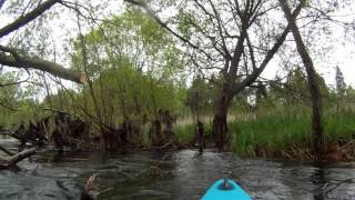 Örtze - Kajaktour (2012)