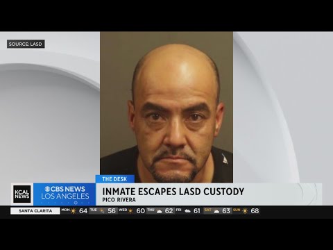 Los Angeles Sheriff Inmate Search