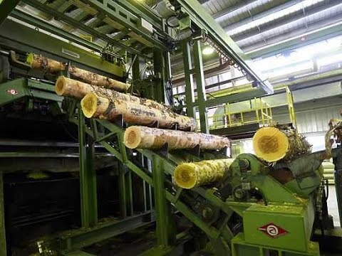 Скандинавская модель развития АПК и ЛПК внедряется в Тюменской области