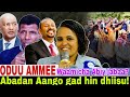 рџ Abadan Aango Gad Hin Dhiisu Abiyyi Waamicha Jabaa 8 16 2024 AGM News рџ Abadan Aango Gad Hin Dhiisu Abiyyi Waamicha Jabaa 8 16 2024 AGM News