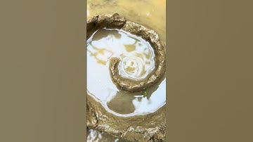 How I entertain myself when I