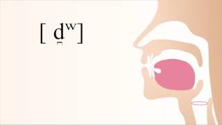 [ d̪ʷ ] voiced unaspirated labialized apical dental stop
