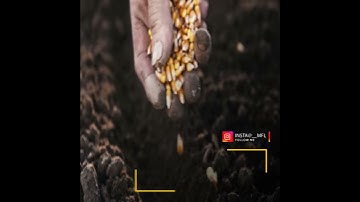 حالات واتس اب دينيه القارئ عبدالله الخلف