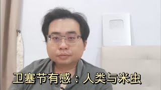 卫塞节有感：人类与米虫 23-5-2024@ahchungtalkshow8911