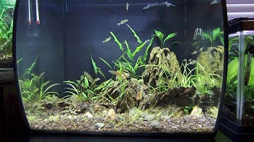 Fluval Flex Mods