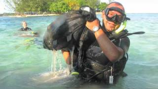 Dive Against Debris