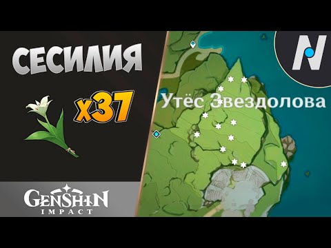 Бейне: Ай Шинохара суретіндегі қорқынышты сұлулық пен өлі қыздар