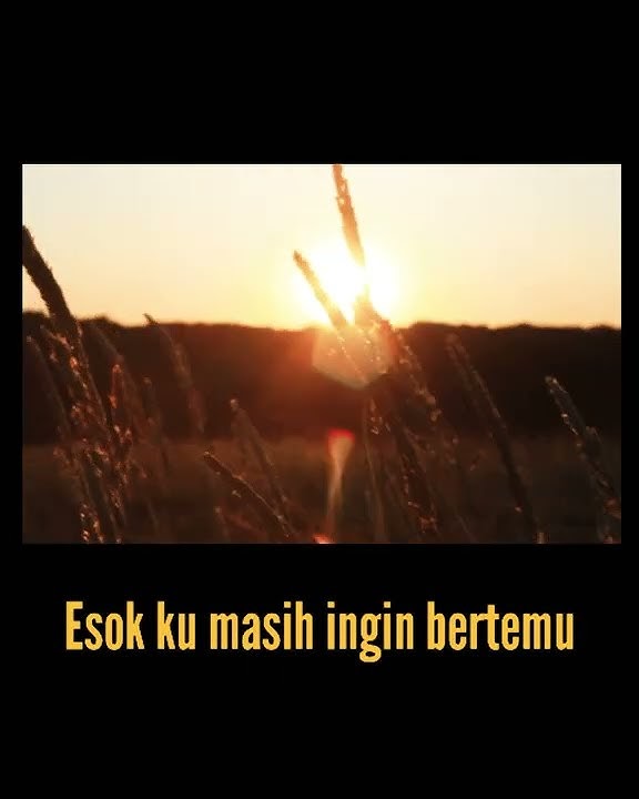 Stroy 30 detik Tony Q Rastafara - Matahariku