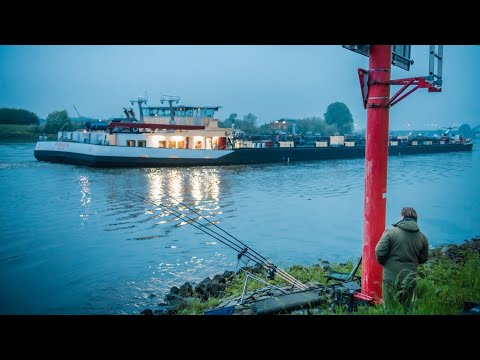 Video: Hoe Om Karp In Die Oond Te Kook