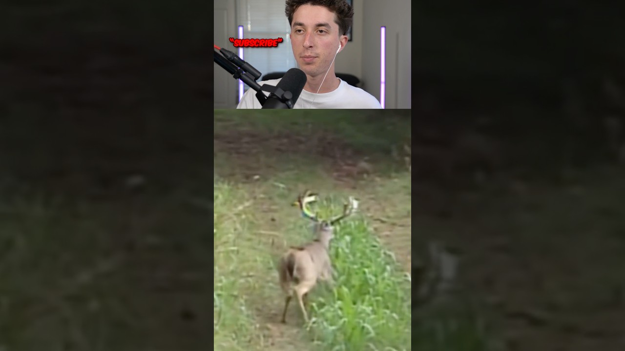 animals skin walkers 🤯😱