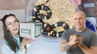 UNBOXING from BRIAN BARCZYK!.. Halloween Pueblan Milk Snake
