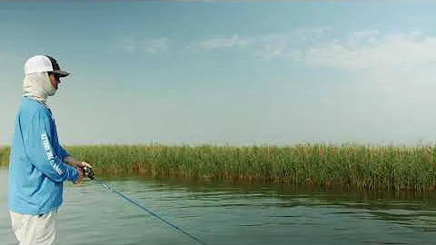Tactical Inshore Rod TFO 