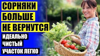 ПРОТИВ СОРНЯКОВ СРЕДСТВО ЛУЧШЕЕ НА ДАЧЕ ⚡