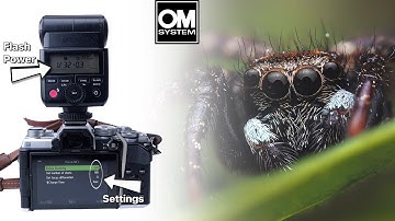 OM Systems Focus Bracketing Guide