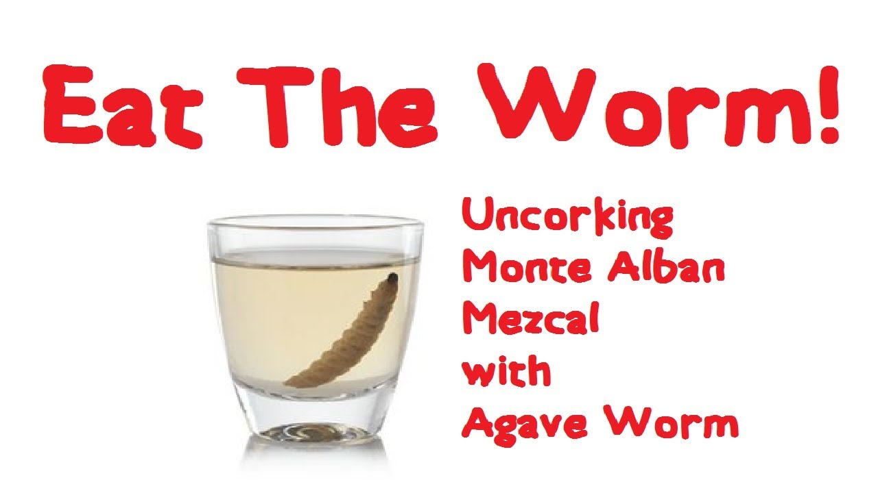 Uncorking Monte Alban Mezcal w/ Agave Worm YouTube