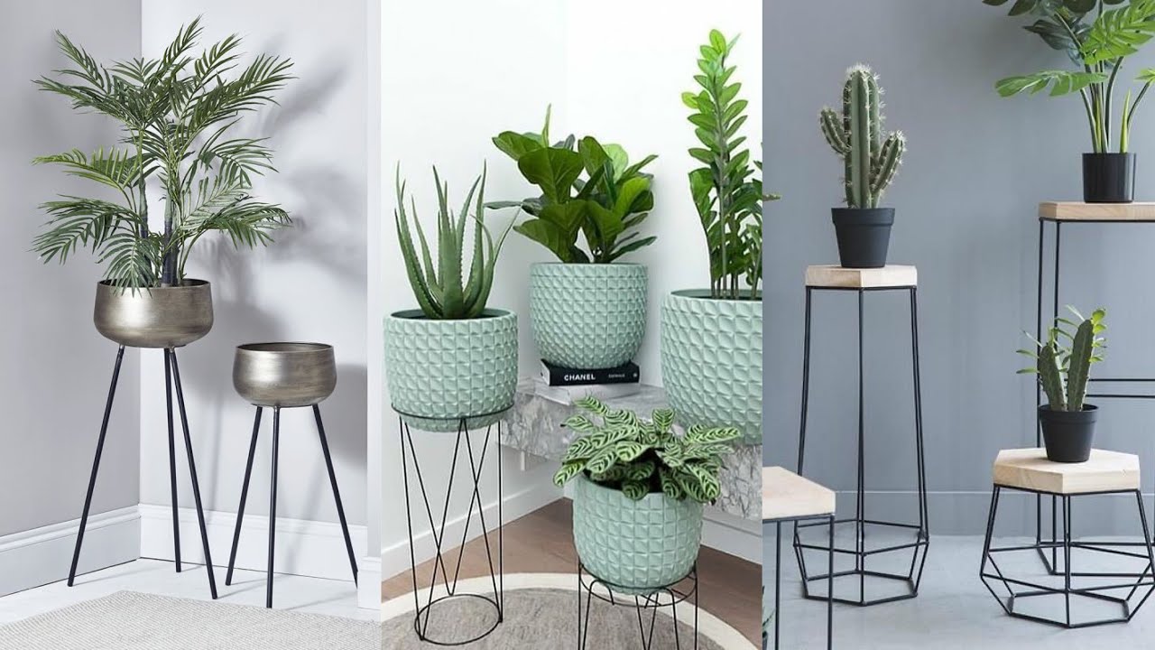 Indoor garden plants interior decor ideas