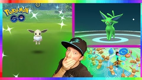 35x SHINY EEVEE CAUGHT during COMMUNITY DAY POKEMON GO! SHINY ESPEON EVOLUTION