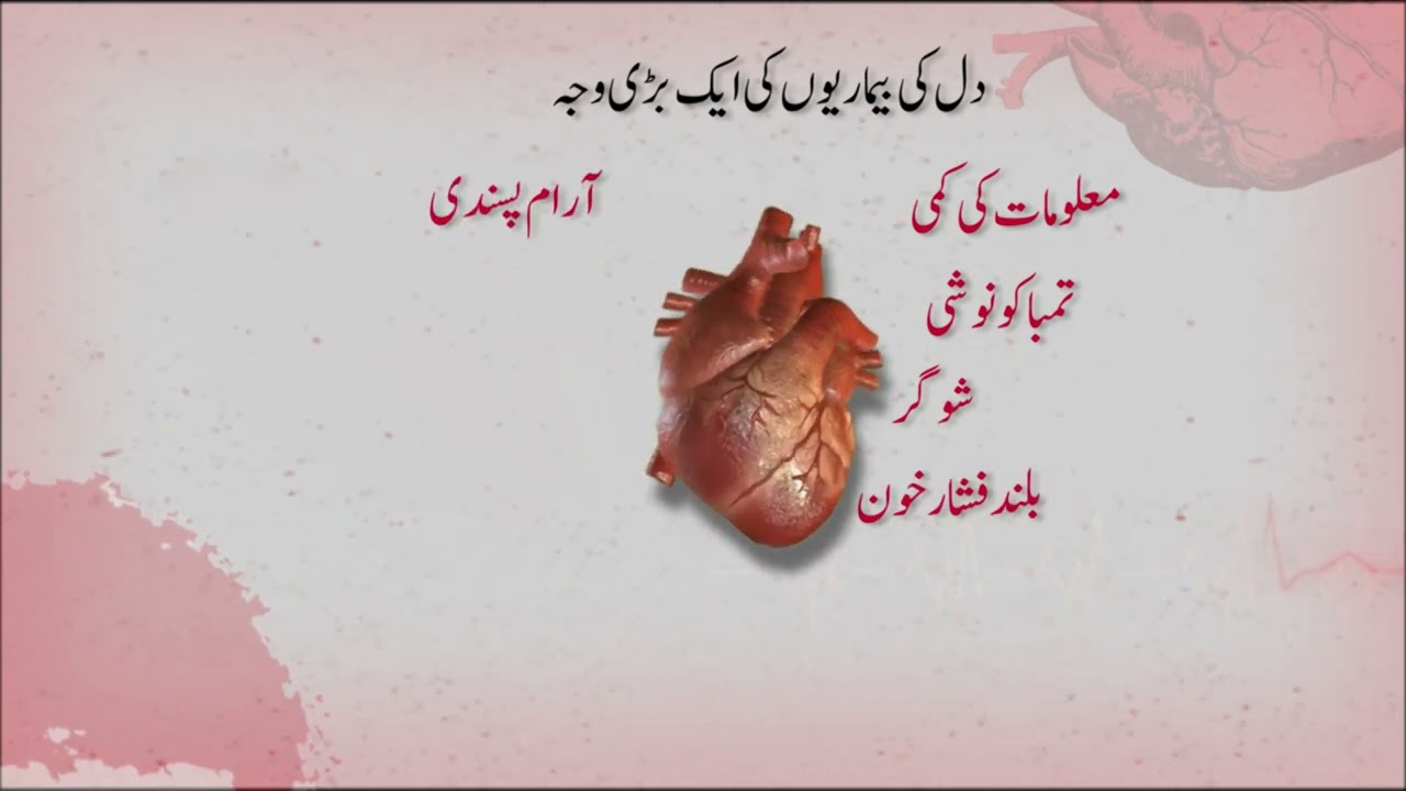 PKG World Heart Day 1