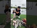 🔥Live Fishing: Catching Big Fish Today! 🎣 2026/05/17 18:09:35.