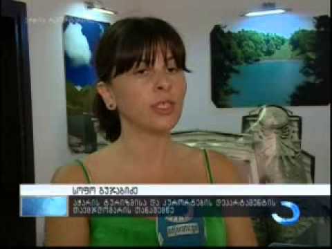 აჭარის ტურიზმის დეპარტამენტი: ტურისტების რაოდენობა 21% გაიზარდა