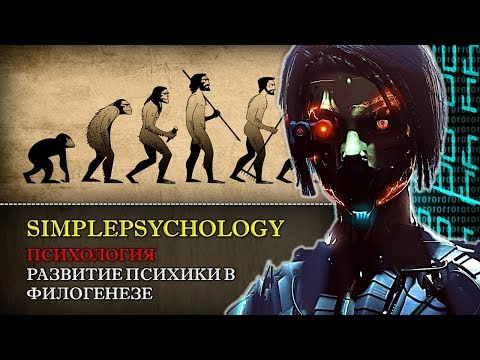 Психология. Развитие психики в филогенезе.