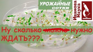 Посеяли семена? Не всходят? Сколько же ждать проростков???