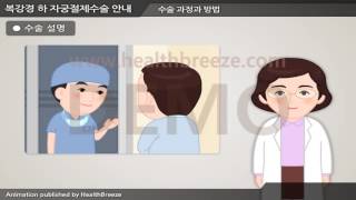 [Demonstration] c0239aako Guide to Laparoscopic Hysterectomy for Patients