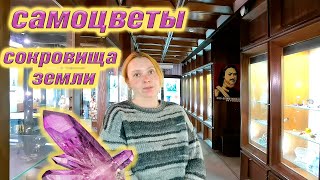 Музей Самоцветы Москва. Коллекция минералов и горных пород.