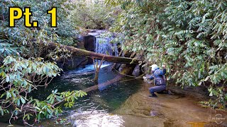 Trout Fishing the most INCREDIBLE water I've ever seen!! || North Georgia Trout Pt. 1