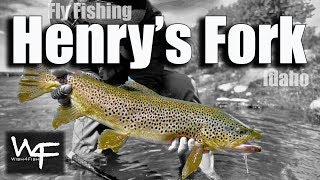 W4F - Fly Fishing "Henry's Fork" Idaho