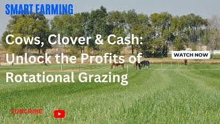 Overgrazed Rotational Grazing Can Save Your Farm! ‍ Before & After